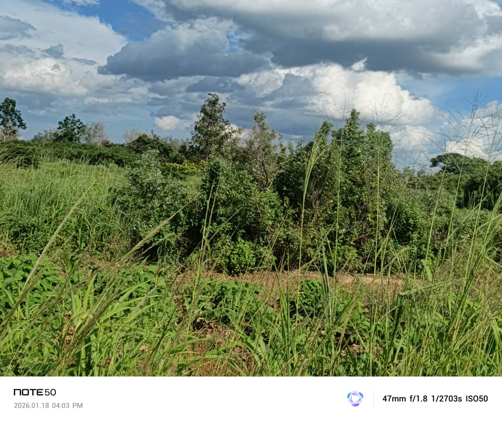 Property Thumbnail